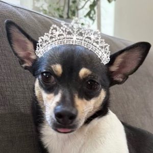 Meet your Posher, Izzie